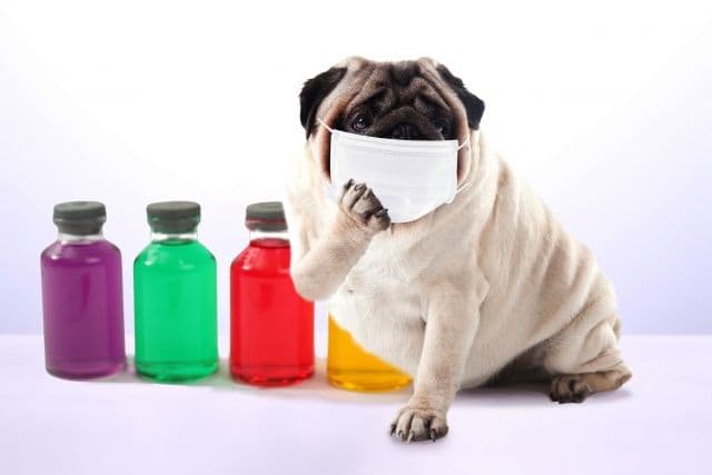 今が歯科矯正をはじめるチャンス!?自宅で矯正 Oh my teethはリモート環境に相性◎な理由