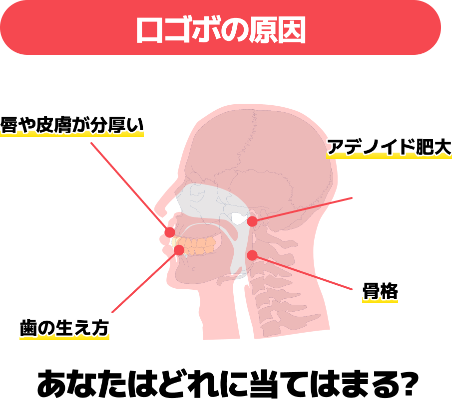 SEO クリエイティブ制作-3